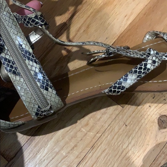 BCBG Gladiators - Picture 4 of 4